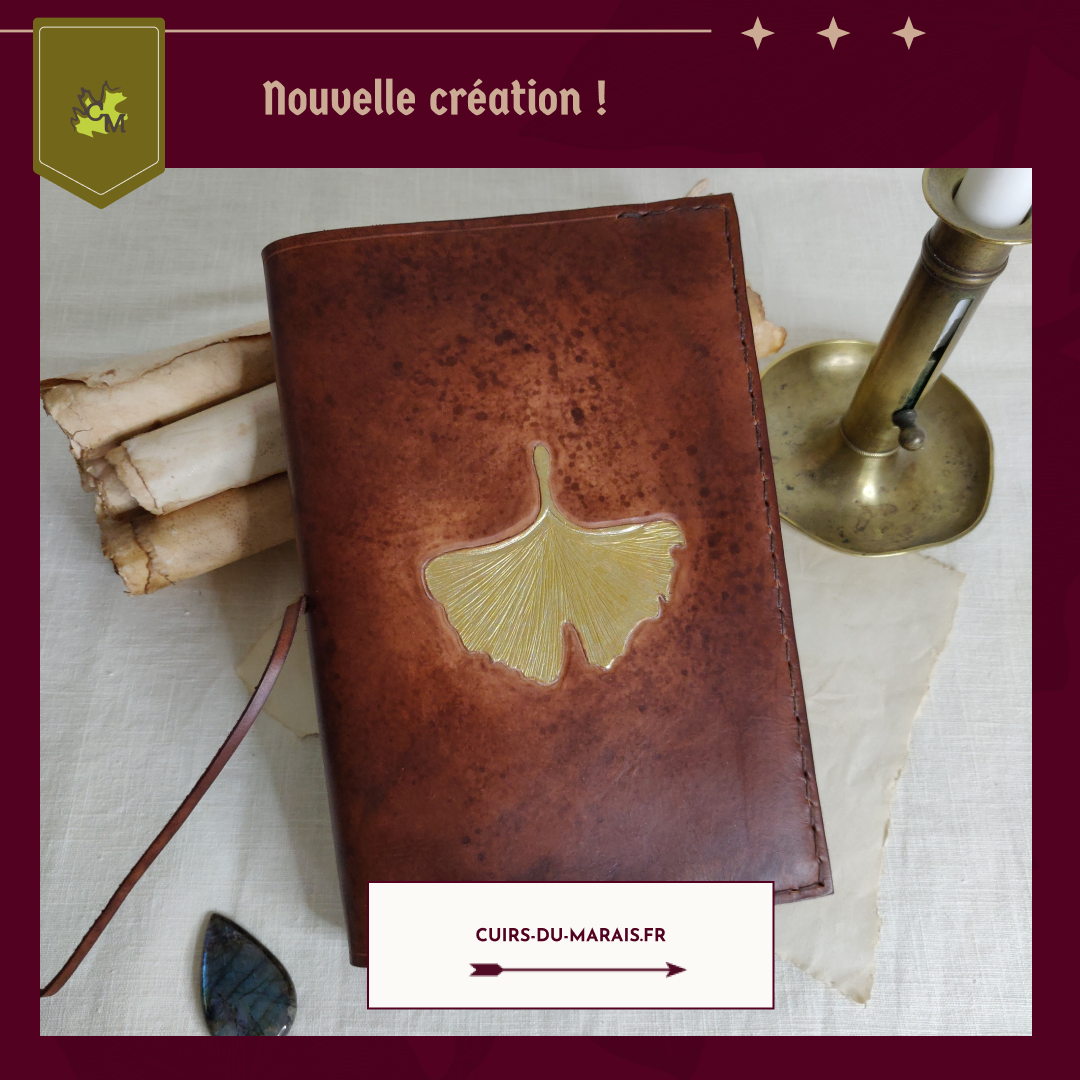 déclinaison réseaux sociaux